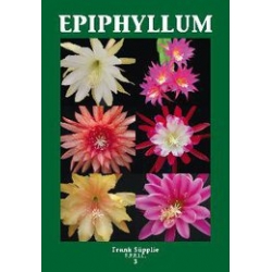 Nieuw: Epiphyllum 3